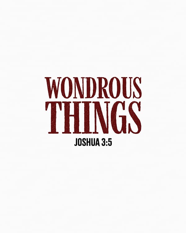 wondrous things art poster
