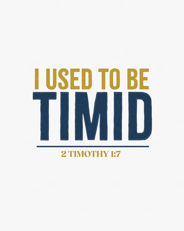 i used to be timid art poster